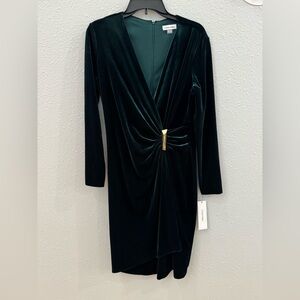 Calvin Klein Dark Green Velvet Dress with Gold Accent